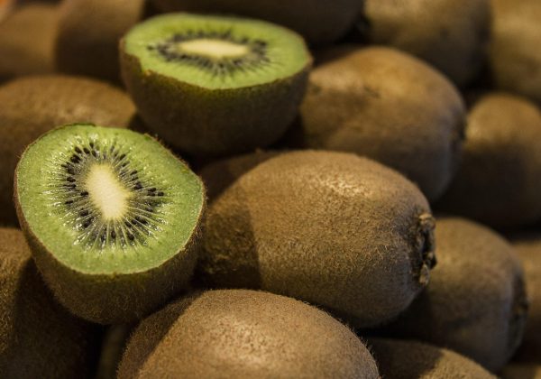 Kiwi 3 Kiwi Français - 4 pièces