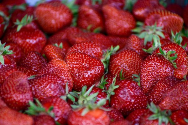 Gariguette Fraises Gariguette – 250g