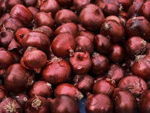 Oignons rouges d’Occitanie – 500g ou 1kg (vrac)