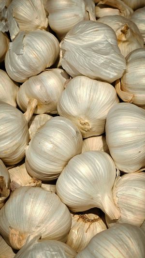 Ail blanc du Tarn-et-Garonne – 250 g