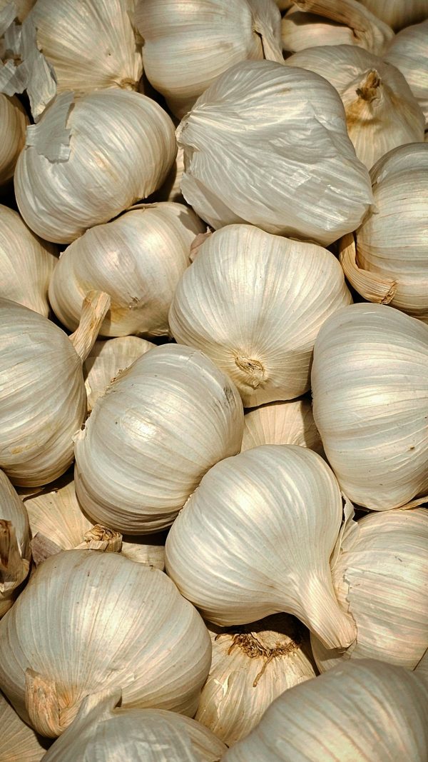 Ail Ail blanc du Tarn-et-Garonne – 250 g