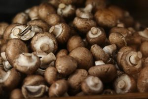 Champignons bruns du Tarn-et-Garonne – 500 g