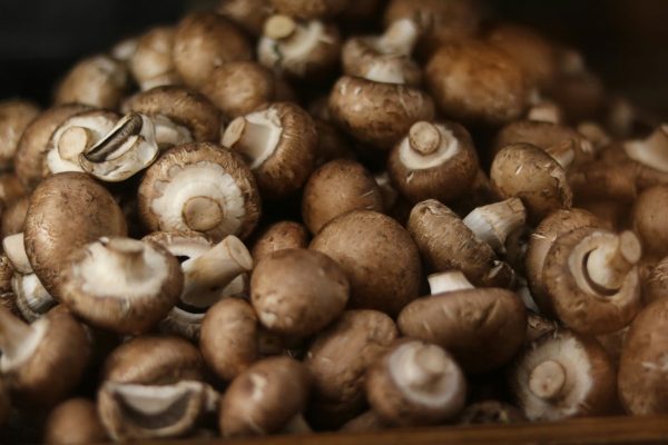 Champignon Brun Champignons bruns du Tarn-et-Garonne – 500 g