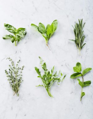 Herbes fraîches – à la botte