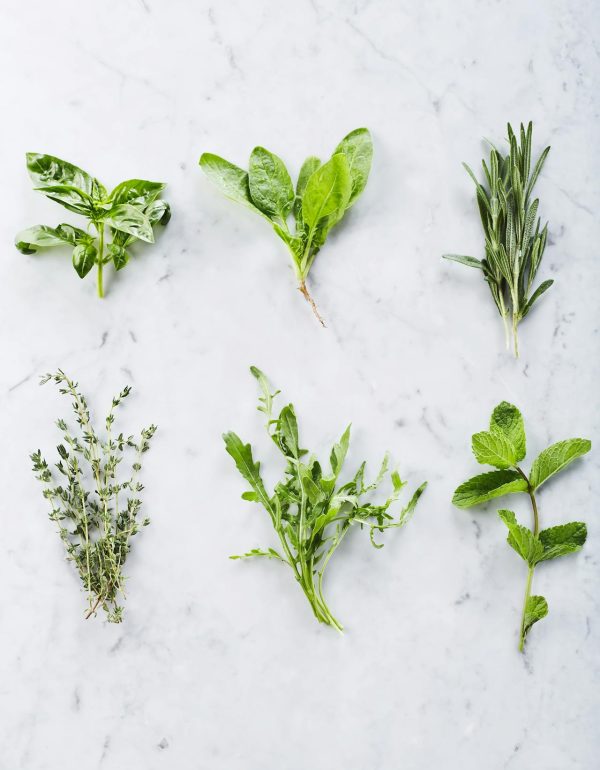 Herbe fraiche Herbes fraîches – à la botte