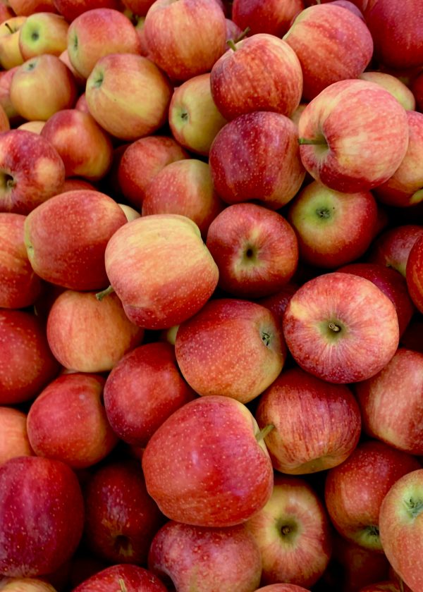Pomme Pommes locales – 1 kg