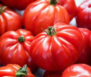 Tomate Marmande - 1 kg
