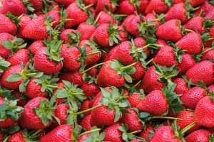 Fraises Cléry – Tarn-et-Garonne – 500 g