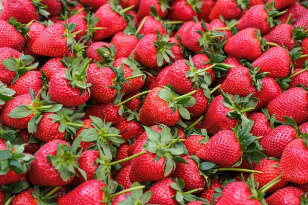 fraise Clery Fraises Cléry – Tarn-et-Garonne – 500 g
