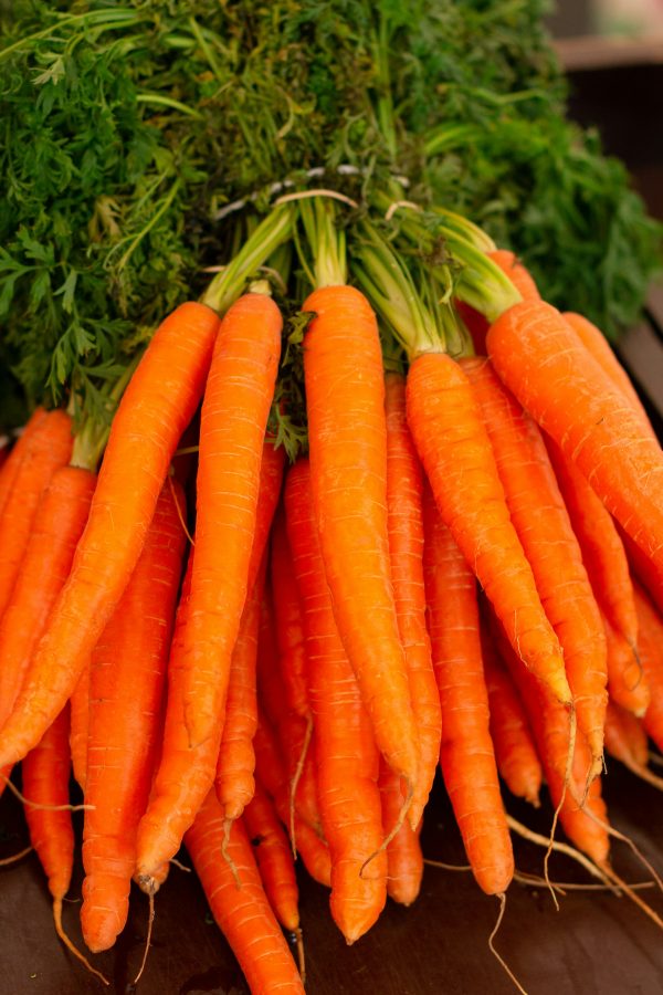 carottes fanes Haute-Garonne Carottes fanes à la botte – Origine Haute-Garonne