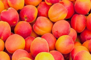 Abricots du Tarn-et-Garonne – 1 kg