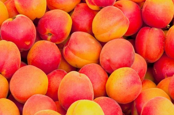 Abricots du Tarn-et-Garonne – 1 kg