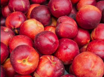 nectarine Nectarines des Pyrénées-Orientales - 1Kg