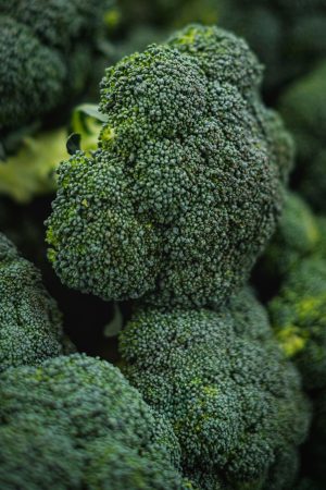 Brocoli local – Haute-Garonne (31)